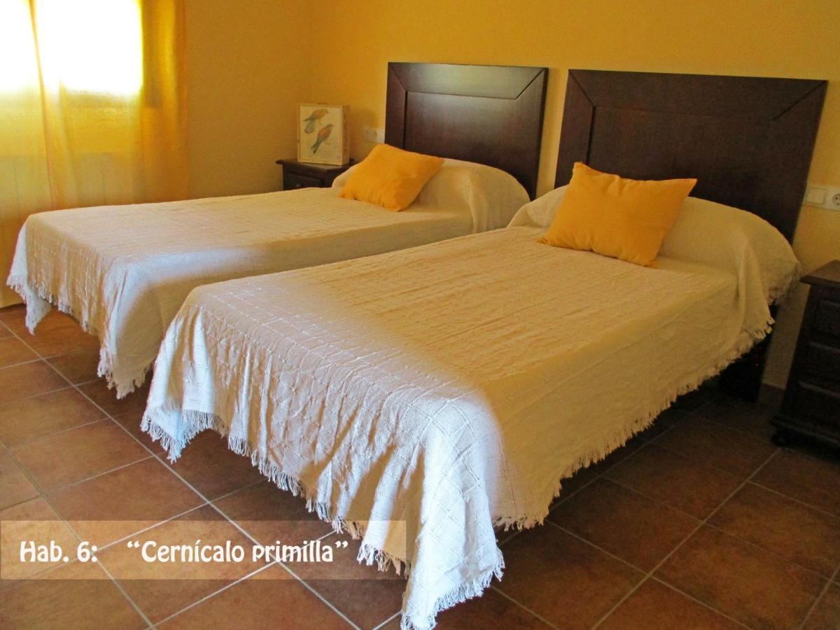 Casa Rural El Nidal Casas de Don Pedro Buitenkant foto