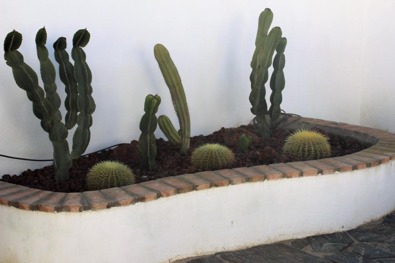 Casa Rural El Nidal Casas de Don Pedro Buitenkant foto