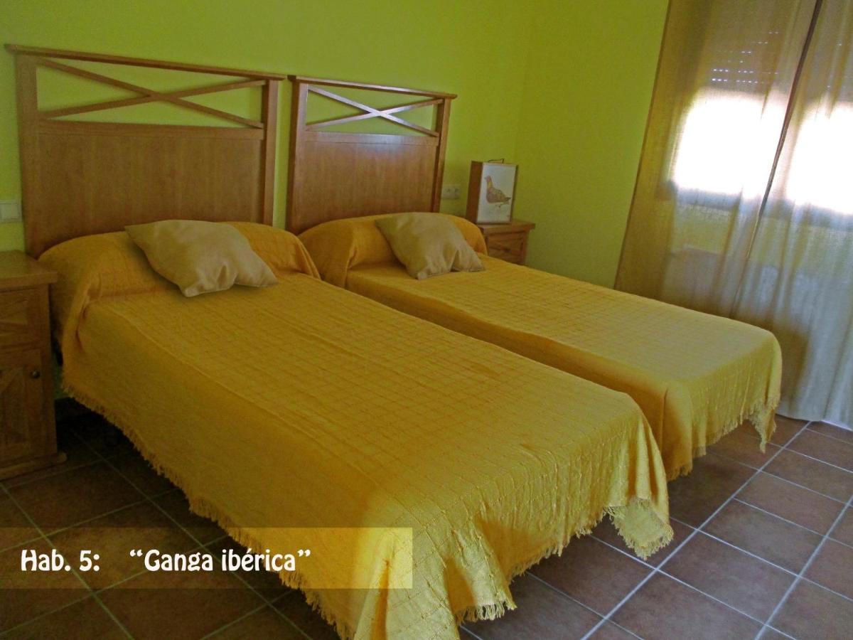 Casa Rural El Nidal Casas de Don Pedro Buitenkant foto